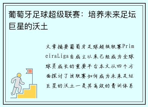 葡萄牙足球超级联赛：培养未来足坛巨星的沃土